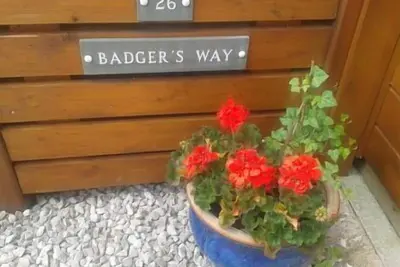 Image de Badger's Way - Au cœur du Lake District anglais - Badger Watching Here
