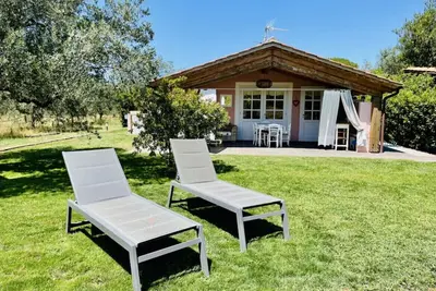 Image de Annexe Il Cerise
