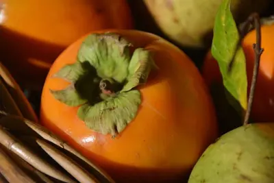 Image de Au cœur de Florence, à 10 mètres des chapelles des Médicis