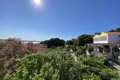 Image de Vivre dans l'oliveraie avec vue sur la mer