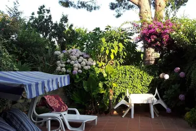 Image de Logement avec jolie terrasse