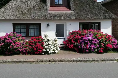 Image de A la maison, entre les mers - couple d'artistes loué leur maison d'été.