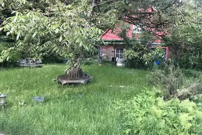 Image de Maison de vacances CasaAppelt - laissez la vie et la vie - vacances dans la nature