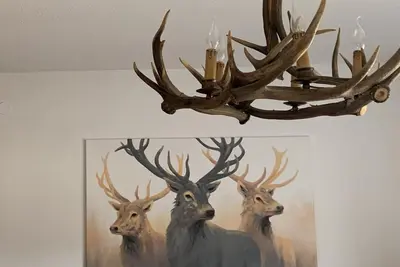 Image de Appartement confortable avec terrasse en bois, cheminée et WiFi gratuit