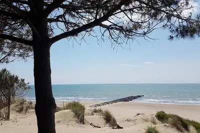 Image de Paradis pour des vacances