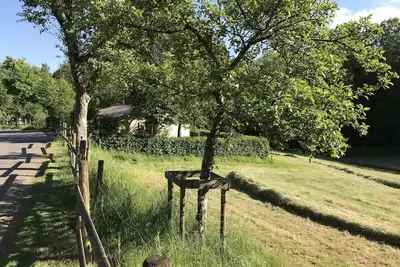 Image de Détente et nature dans le milieu de l'Eifel volcanique