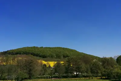 Image de Sortez - dans le cœur vert de l'Allemagne
