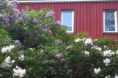 Image de Maison Décoration individuelle dans un endroit calme en forêt