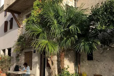 Image de Maison en pierre avec vue mer