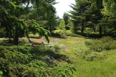 Image de Central Cottage Pourtant isolée dans Heart Of Mt. Île déserte