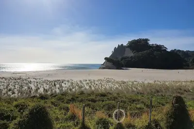 Image de Front de mer spectaculaire à Whititoa