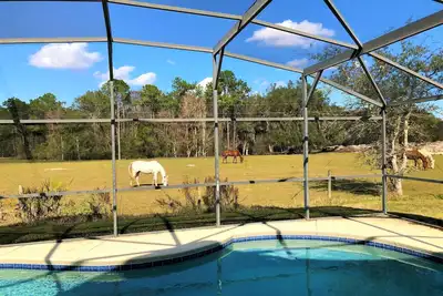 Image de SPÉCIAL Hiver! ! ! <br>Villa Privée 5 Chambres<br>minutes de Disney