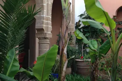 Image de Riad de charme chauffé au coeur de la Médina (avec jardin et ascenseur)