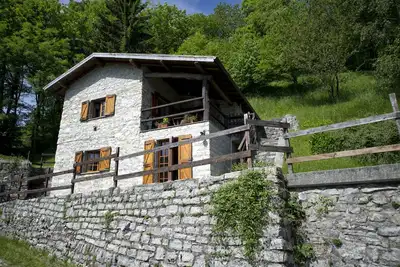 Image de Between The Forest And The Lake