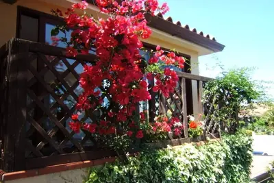 Image de Appartement - Budoni