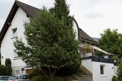 Image de Appartement lumineux et moderne entre Nürburgring et Moselle, proche de la nature