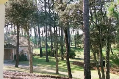 Image de Moliets plage - Bel appartement -Piscine -rdc -Grande Terrasse / véranda