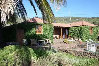 Image de Une vraie maison canarienne créée au cœur du pin des Canaries