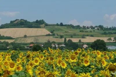 Image de Maison exceptionnelle avec vue imprenable, classée 3 étoiles