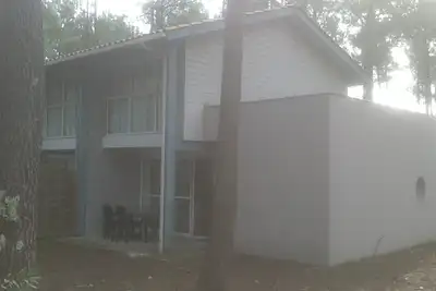 Promo - Villa dans la pinede
