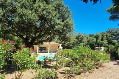 Image de Villa Stellalilou au calme en plein maquis proche Montagne, rivières et plages