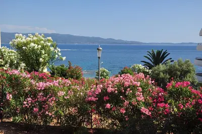 Image de F2, TerrasseVue Mer, Plage 50m, Wifi, Clim, Rte des Îles, Calme