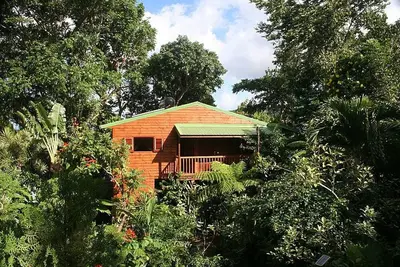 Image de Bungalow en bois rouge dans un parc Ă l'ambiance tropicale