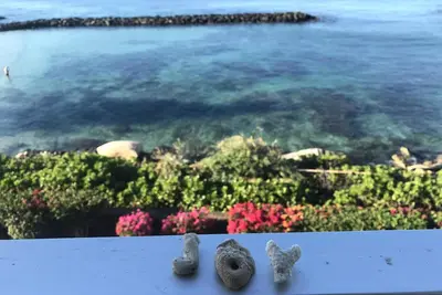 Image de Oh les vues! Oceanfront condo: dauphins, tortues et couchers de soleil oh mon dieu!