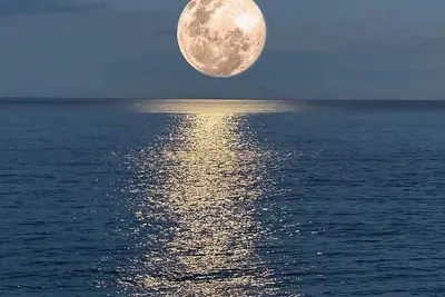 Image de Las Olas Beachfront, B301, Unité End. 2 Chambre, 2 salles de bain