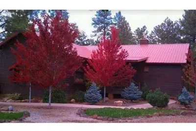 Image de Cabane luxueuse, propre et tranquille à Torreon!