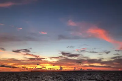 Image de Belle Futura Yacht Club - Islamorada Floride