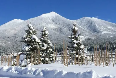 Image de Regroupez-vous, détendez-vous et détendez-vous à la base de Snowbowl