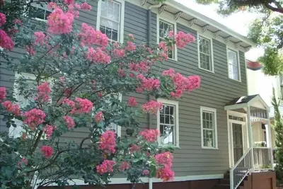 Image de Le Mimosa House - 1890 Maison de ville Près Forsyth - Great Value!