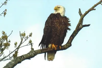 Image de Pêcheurs et familles recherchés