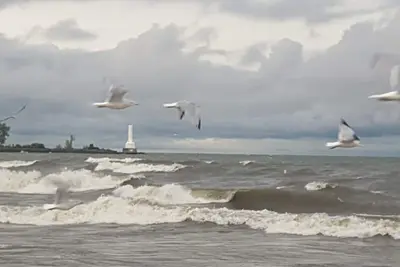 Image de Tout ce dont vous avez besoin pour des vacances Ă la plage!