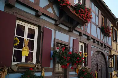 Image de Gîte classé \"3 étoiles\" à proximité des plus beaux sites touristiques d'Alsace