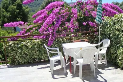 Image de Appartements Marija, (8026), Stari Grad, Croatia