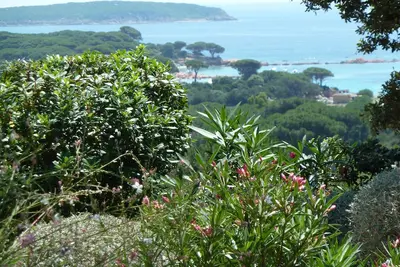 Image de Appartement pour 4 personnes en Corse (S / O) avec vue mer