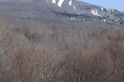 Image de Maison privée située au centre 3 Br 2 1/2 salle de bain 1950Sq 'espace au rez-de-chaussée ouvert! ! ! !