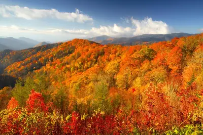 Image de Hôtel 5 étoiles Westgate Smokey Mtn. Beauté d'automne dans les Smokeys. 10 / 19-10 / 26/19.