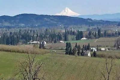 Image de Maison Vigneronne: Belle maison de vignoble de Dundee Hills.