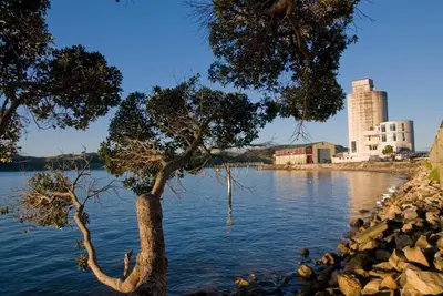Image de The Waters Edge - Raglan Wharf