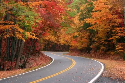 Image de 5 étoiles Westgate Resort Smokey Mountains. Les montagnes vous appellent! 9 / 6-9 / 13/19