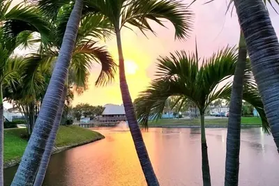 Image de Escapade tropicale - Bella Vista sur le parc