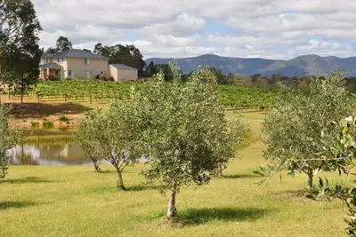 Image de Ghost Riders Vineyard Lodge