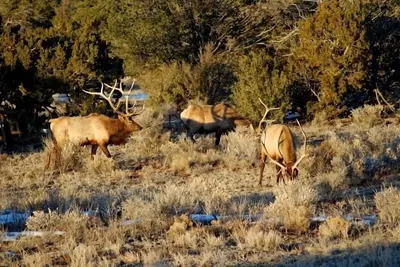 Image de Seule location de vacances au Grand Canyon
