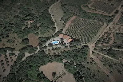 Image de Villa Languedoc avec piscine, vignobles, oliveraies et vues