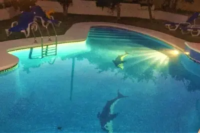 Image de Belle villa avec piscine privée et jardin à côté du port de Benalmadena