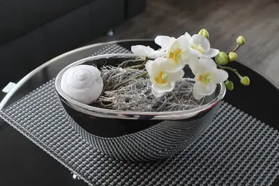 Image de Maison Borkum Flair 4Sterne, appartement pas. 1, 1 chambre à coucher, 2Terrassen avec jardin