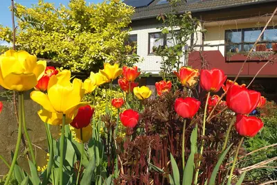 Image de Guesthouse dans une forêt près idyllique